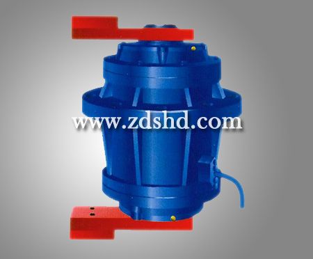 T05系列立式振動電機